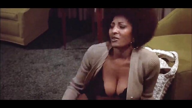 واقعی, سوپر برادر خواهر دو فاک, دمار از روزگارمان درآورد بر روی نیمکت