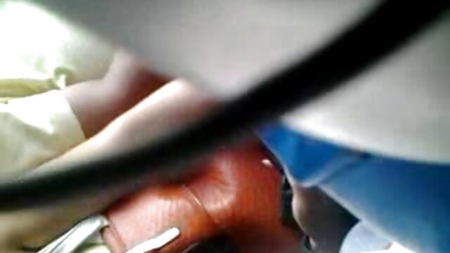 گربه سوپر خواهر برادر از جنگل